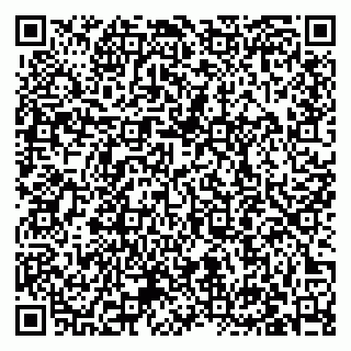 vCard 79033000373