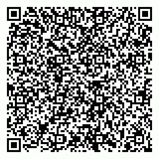 vCard 79033000380