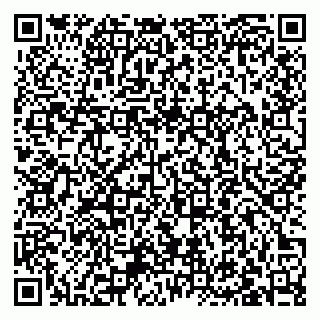 vCard 79033000383