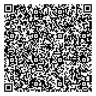 vCard 79033000395