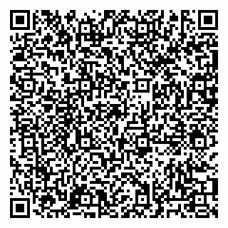 vCard 79033000399