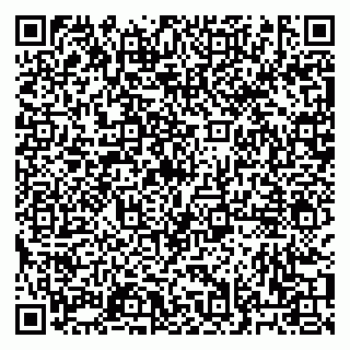 vCard 79033000509