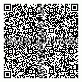 vCard 79033000629