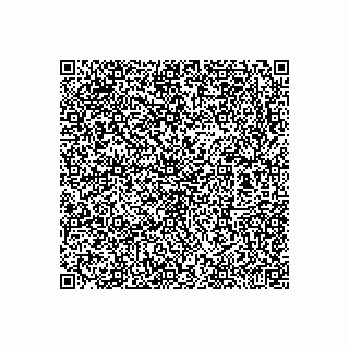 vCard 79033011021