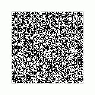 vCard 79033111199