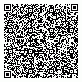 vCard 79033200291