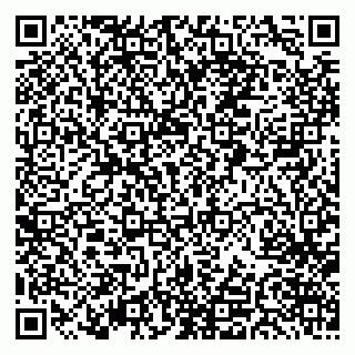 vCard 79033220020