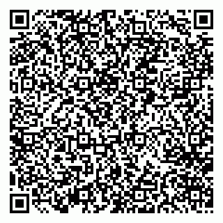 vCard 79033220087