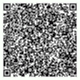 vCard 79033220174