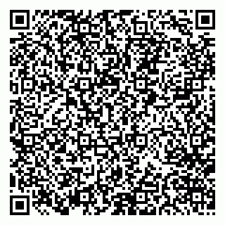 vCard 79033220207