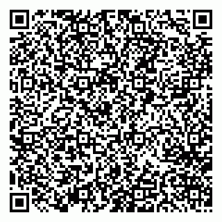 vCard 79033220332