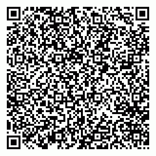 vCard 79033220374
