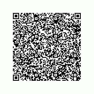 vCard 79033700001