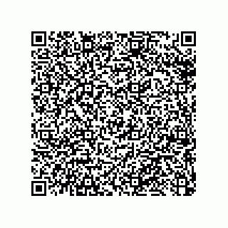 vCard 79033700007