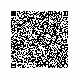 vCard 79033700008