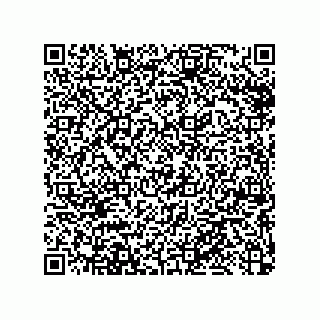 vCard 79033700013