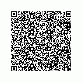 vCard 79033700022