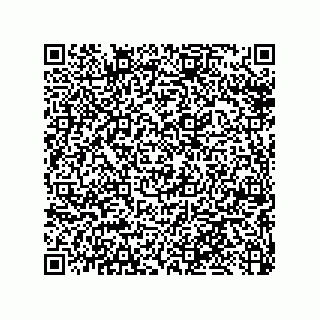 vCard 79033700029