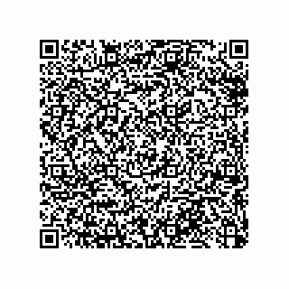 vCard 79033700030