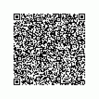 vCard 79033700031