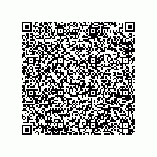 vCard 79033700037
