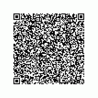vCard 79033700038
