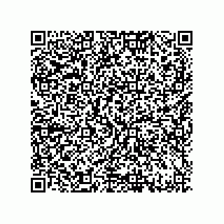 vCard 79033700041