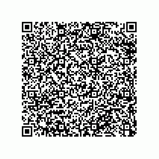 vCard 79033700042