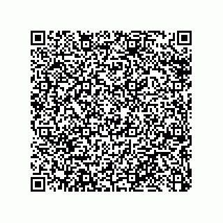 vCard 79033700045