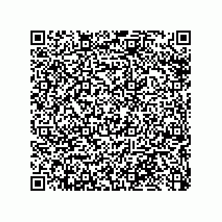 vCard 79033700048