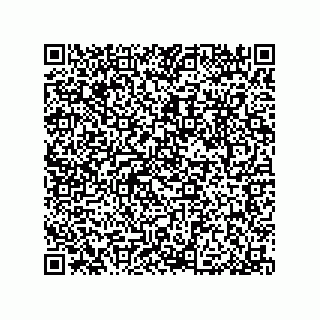 vCard 79033700049