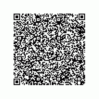 vCard 79033700051
