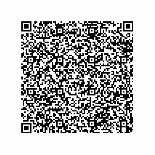 vCard 79033700052
