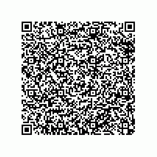 vCard 79033700053
