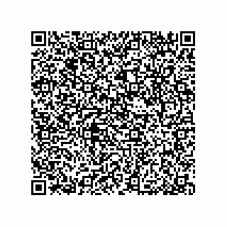 vCard 79033700060