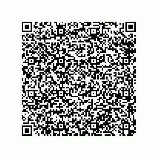 vCard 79033700063