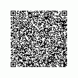 vCard 79033700064