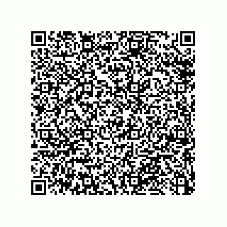 vCard 79033700066