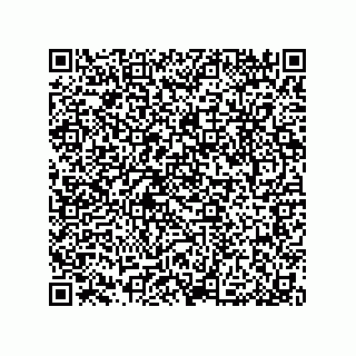 vCard 79033700068