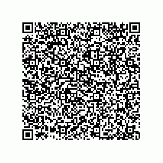 vCard 79033700080