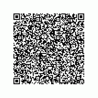vCard 79033700083