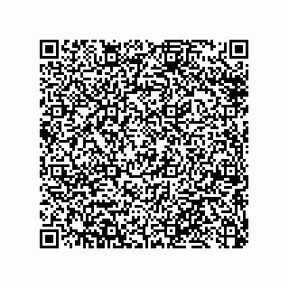 vCard 79033700085