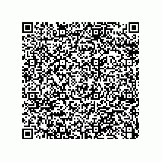 vCard 79033700086