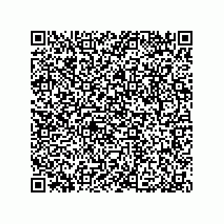 vCard 79033700087