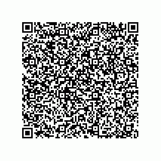 vCard 79033700088