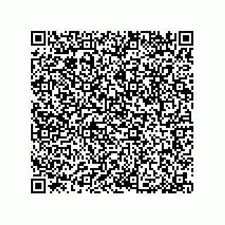 vCard 79033700089