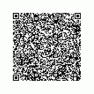 vCard 79033700090