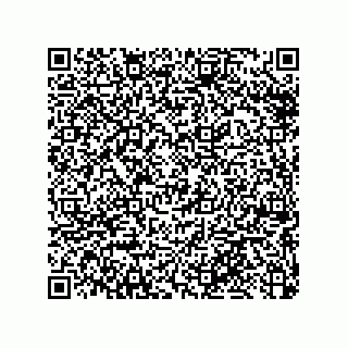 vCard 79033700091