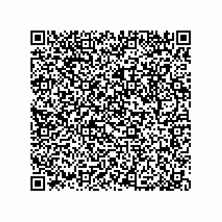 vCard 79033700092