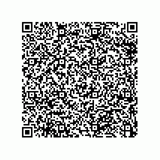 vCard 79033700096
